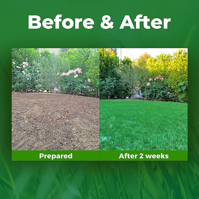 🔥BUY 3 GET 3 FREE (6PCS)🔥 Grass Seed Mat- 2MIN TO INSTALL