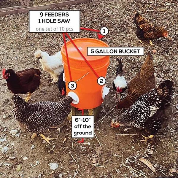 (đ„ NEW-50% OFF)DIY Chicken Feeder