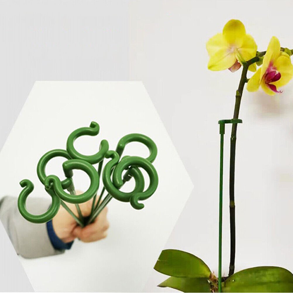 🔥Last Day Promotion 50% OFF-Plant Support Stake