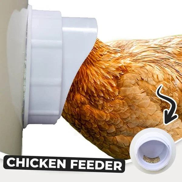 (đ„ NEW-50% OFF)DIY Chicken Feeder