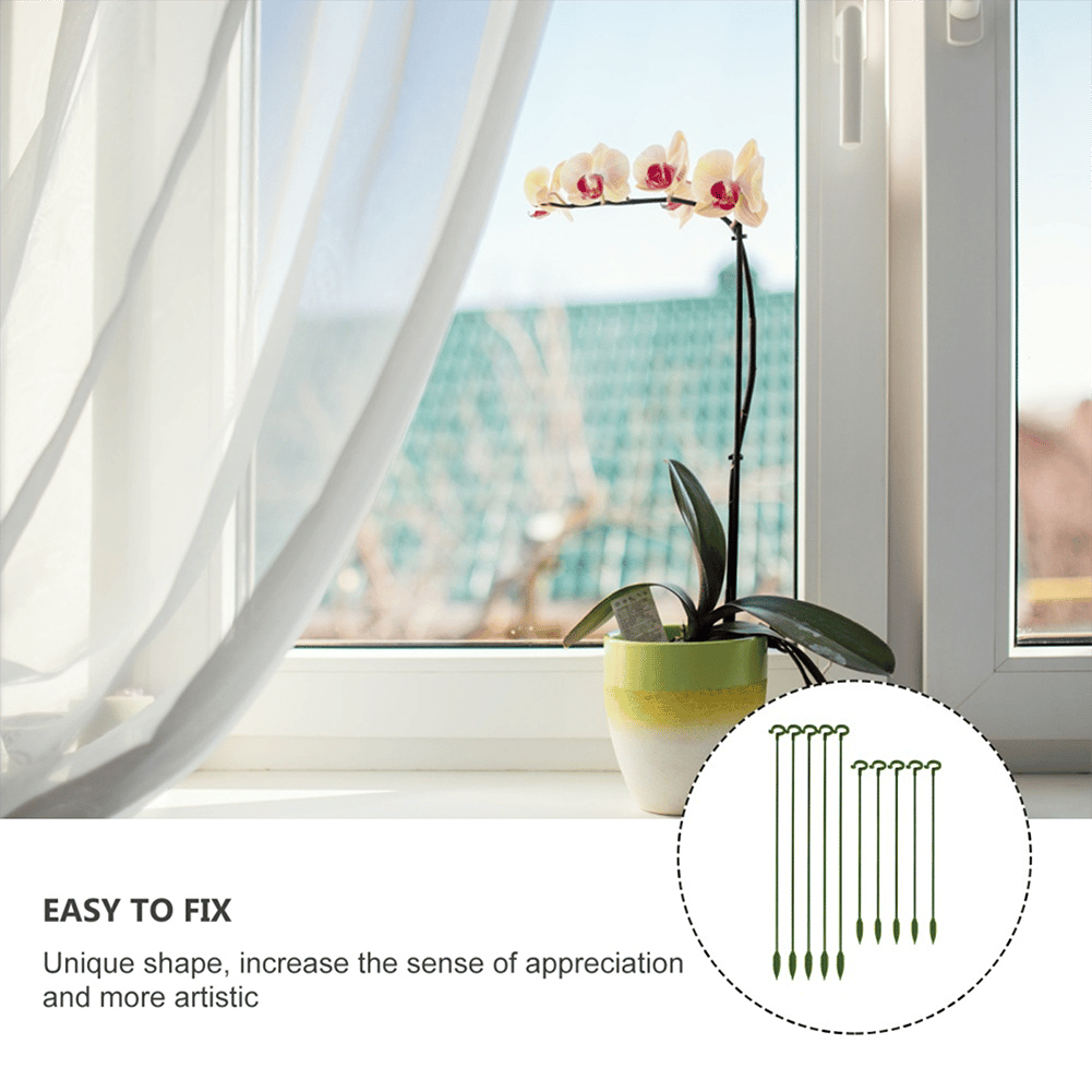 🔥Last Day Promotion 50% OFF-Plant Support Stake