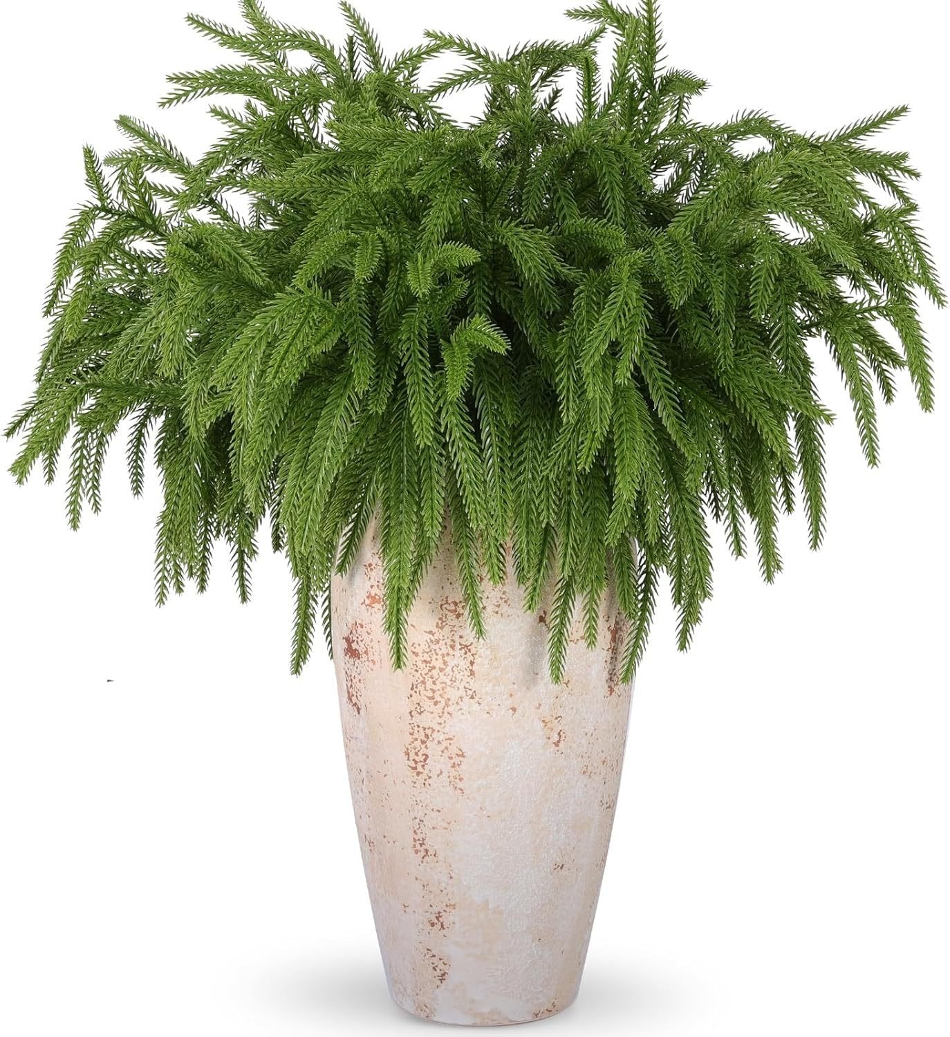 🎄Super popular🎄Christmas greenery Norfolk pine branches