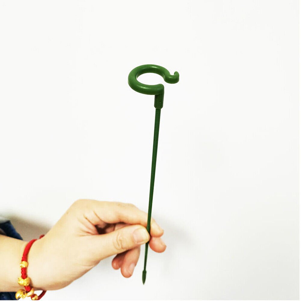 🔥Last Day Promotion 50% OFF-Plant Support Stake