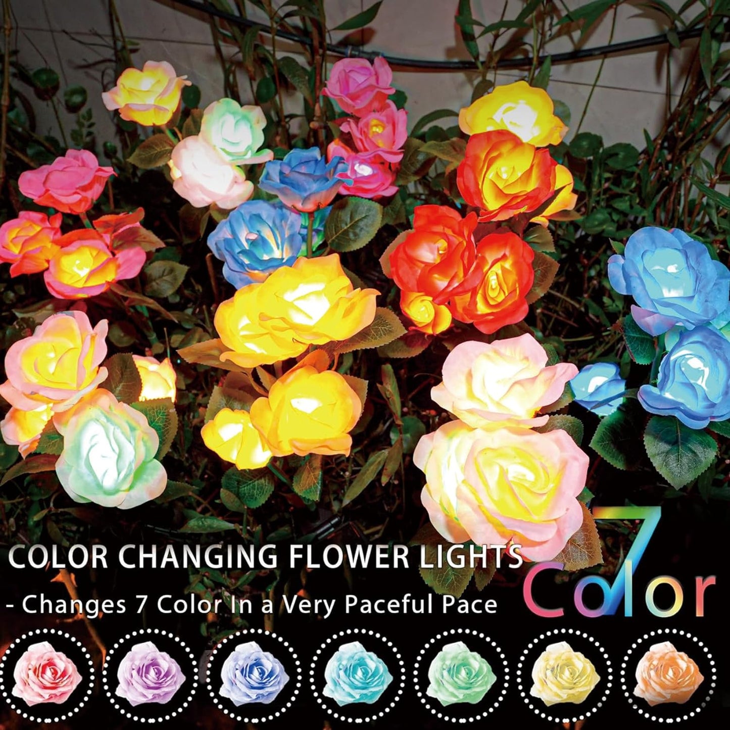 Solar Colorful Rose Garden Light