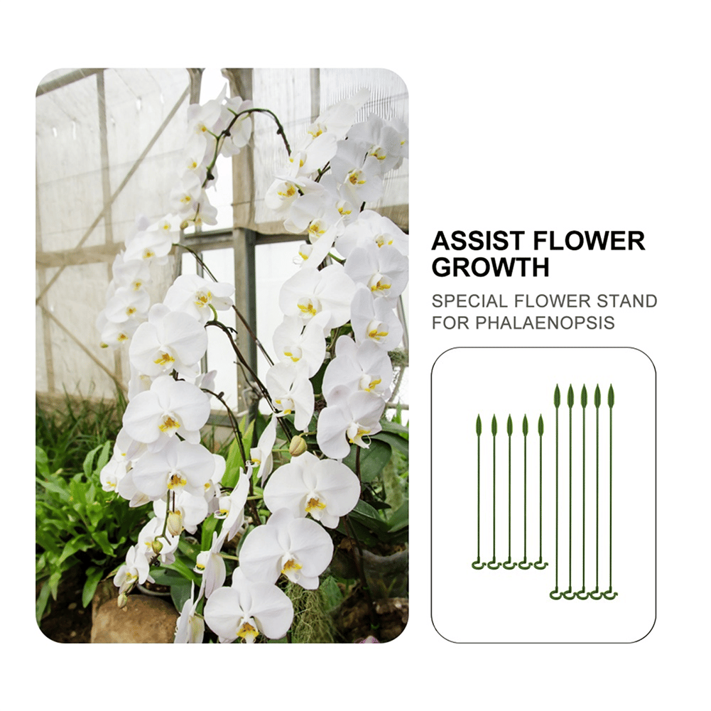 🔥Last Day Promotion 50% OFF-Plant Support Stake