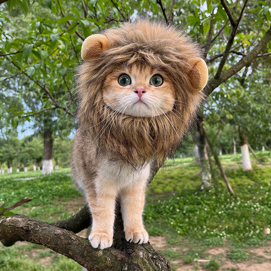 Pet Cat Headwear — Lion, Rabbit Ears, Frog, and Teddy Bear Styles