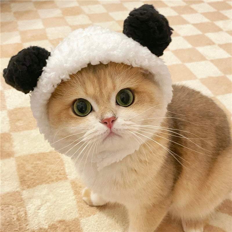 Pet Cat Headwear — Lion, Rabbit Ears, Frog, and Teddy Bear Styles