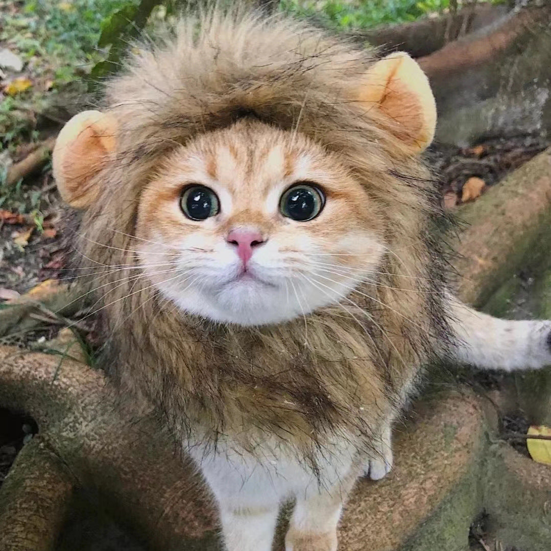 Pet Cat Headwear — Lion, Rabbit Ears, Frog, and Teddy Bear Styles