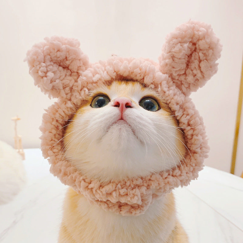 Pet Cat Headwear — Lion, Rabbit Ears, Frog, and Teddy Bear Styles