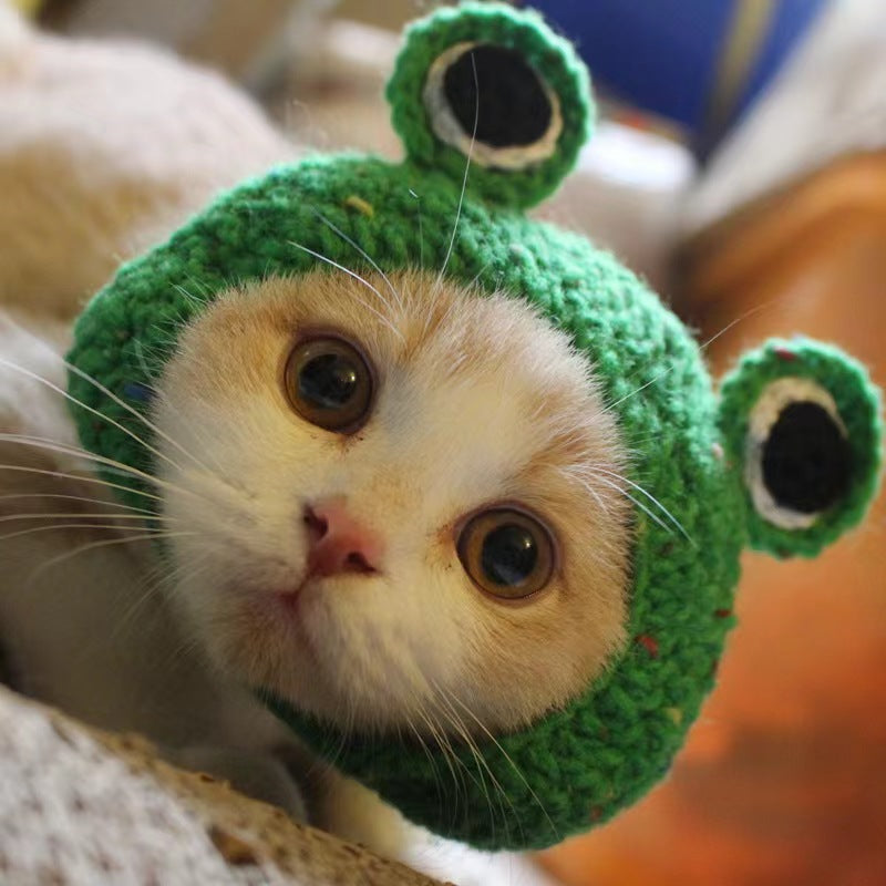 Pet Cat Headwear — Lion, Rabbit Ears, Frog, and Teddy Bear Styles