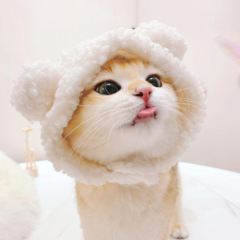 Pet Cat Headwear — Lion, Rabbit Ears, Frog, and Teddy Bear Styles