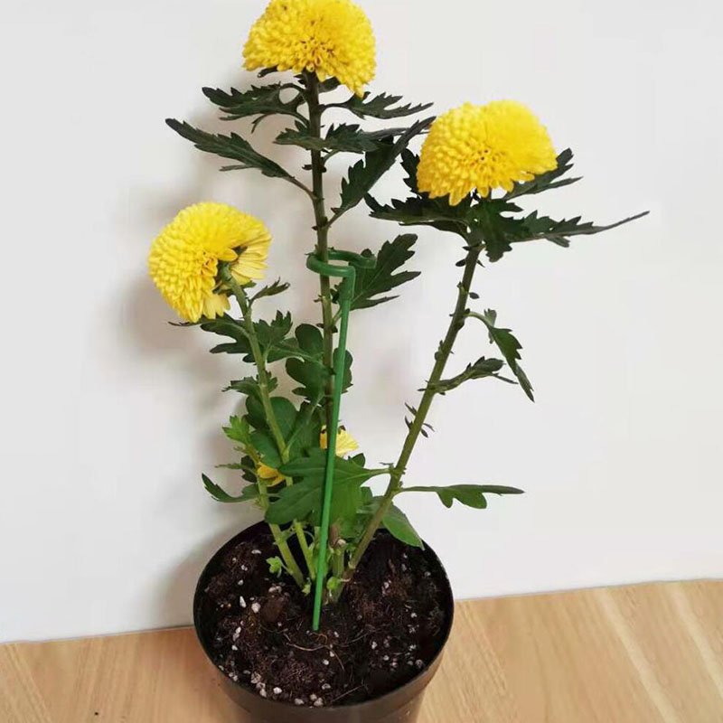 🔥Last Day Promotion 50% OFF-Plant Support Stake