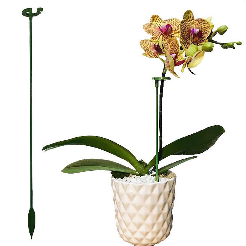 🔥Last Day Promotion 50% OFF-Plant Support Stake