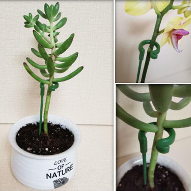 🔥Last Day Promotion 50% OFF-Plant Support Stake